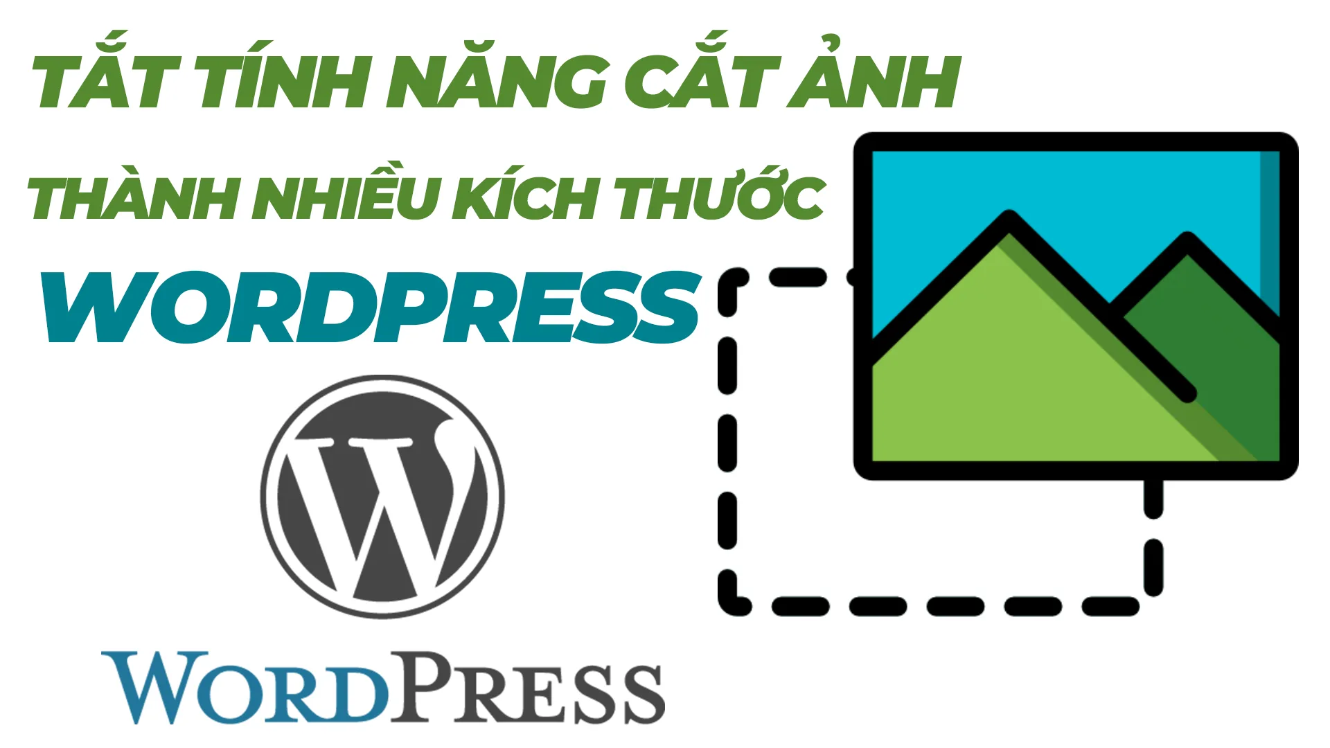 Stop WordPress From Scaling Images Như Thế Nào ?